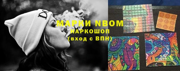 шишки Кукмор