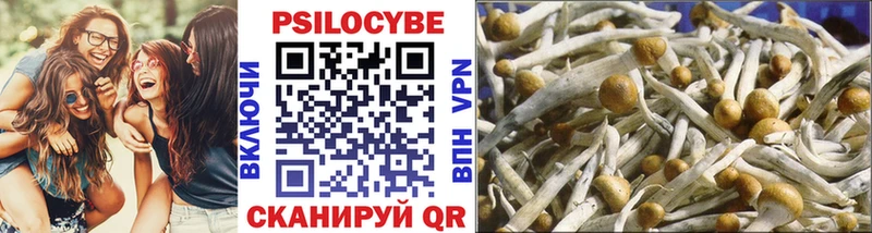 Псилоцибиновые грибы прущие грибы купить наркотики сайты Ворсма